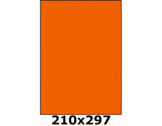 Étiquettes 210 x 297 orange fluo 4034