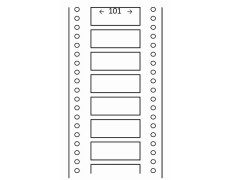 Étiquettes 101 x 36.1 - 1 de front 0258