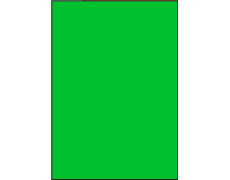 Étiquettes autocollantes 210 x 297 vert vif